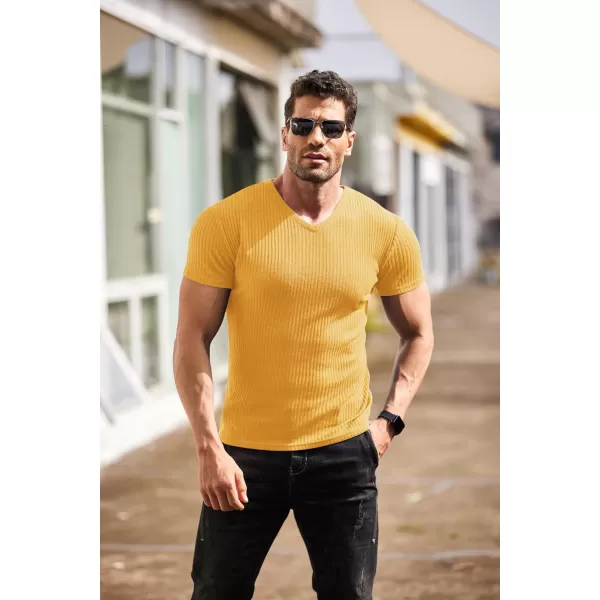 COOFANDY Men's Muscle T Shirts Stretch Short Sleeve V Neck Bodybuilding Workout Tee Shirts Ribbed Knit Shirt