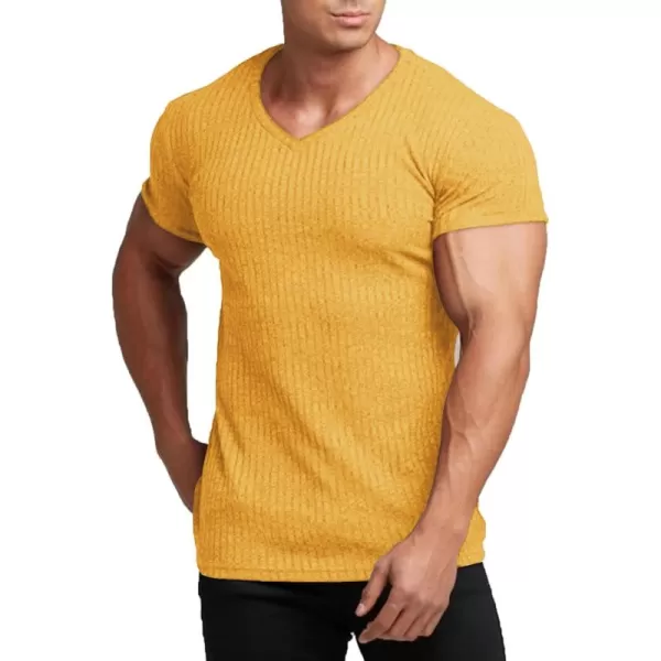 COOFANDY Men's Muscle T Shirts Stretch Short Sleeve V Neck Bodybuilding Workout Tee Shirts Ribbed Knit Shirt