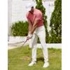 imageCOOFANDY Mens Polo Shirt Golf Dry Fit Performance Short Sleeve Moisture Wicking Athletic Polo Collared Tennis TShirtRed