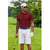 imageCOOFANDY Mens Cotton Pique Polo Shirts Short Sleeve Golf Shirts Basic Casual Collared TShirtWine Red