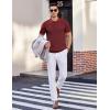 imageCOOFANDY Mens Knit Polo Shirts Short Sleeve Casual Button Down Shirts Vintage Collared Golf ShirtsWine Red