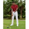 imageCOOFANDY Mens Polo Shirts Short Sleeve Golf Polo Button Pullover Casual Contrast Color Basic T Shirt Ribbed CollarWine Red