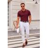 imageCOOFANDY Mens Knit Polo Shirts Casual Short Sleeve Button Down Polo Shirt Classic Golf ShirtsWine Red White Striped