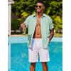 imageCOOFANDY Mens Cuban Guayabera Shirt Short Sleeve Button Down Shirts Summer Beach Vacation ShirtsSage Green