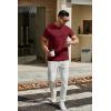 imageCOOFANDY Mens T Shirts Short Sleeve Classic V Neck TShirt Casual Summer Basic Tee ShirtWine Red