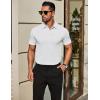imageCOOFANDY Mens Polo Shirts Short Sleeve Slim Fit Casual Solid Basic Golf Shirt Collared TShirtWhite