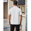 imageCOOFANDY Mens Polo Shirts Short Sleeve Slim Fit Casual Solid Basic Golf Shirt Collared TShirtWhite