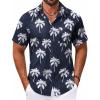 Navy-coconut Tree