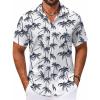White-coconut Tree