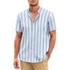 Blue Stripes