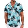 Blue-coconut Tree