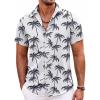 Grey-tropical Tree