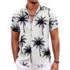 White-coconut Tree