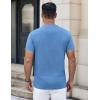 imageCOOFANDY Mens Henley Shirts Short Sleeve Casual Button Down Shirts Lightweight Summer Basic TeeSky Blue