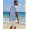 imageCOOFANDY Mens Henley Shirt Short Sleeve Casual Summer Beach Hippie TShirts Lightweight Vacation TopsSolid Light Blue