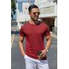 imageCOOFANDY Mens Henley Shirts Short Sleeve Casual Summer Basic Tee Solid Button TShirtsWine Red