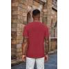 imageCOOFANDY Mens Henley Shirts Short Sleeve Casual Summer Basic Tee Solid Button TShirtsWine Red