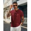 imageCOOFANDY Mens Crewneck Sweater Short Sleeve Knit Pullover Casual Basic Tops Classic Fashion TeesWine Red