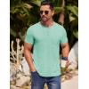 imageCOOFANDY Mens Henley Shirts Short Sleeve Casual T Shirt Plain Slim Fit Henley Stylish Summer Tee Shirts with PocketIce Green