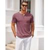 imageCOOFANDY Mens Henley Shirts Short Sleeve Casual T Shirt Plain Slim Fit Henley Stylish Summer Tee Shirts with PocketWine Red
