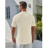imageCOOFANDY Mens Henley Shirt Short Sleeve Stand Collar Summer Casual Beach Hippie TShirtsBeige