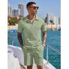 imageCOOFANDY Mens 2 Pieces Outfits Casual Quarter Zip Polo Shirt and Shorts Set Athletic Jogging Summer TracksuitLight Green