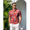 imageCOOFANDY Men Casual Henley Tee Shirt Short Sleeve Band Collar Summer Beach Textured TShirtRed Flag