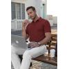 imageCOOFANDY Mens Polo Shirt Short Sleeve Moisture Wicking QuickDry Golf Polo Athletic Tennis Collared TShirtsWine Red