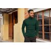 imageCOOFANDY Mens Slim Fit Turtleneck Sweater Casual Pullover Sweater Basic Twist Patterned Knitted SweaterGreen