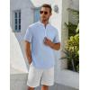 imageCOOFANDY Mens Henley Shirt Short Sleeve Stand Collar Summer Casual Beach Hippie TShirtsStriped Blue  White