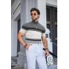 imageCOOFANDY Mens Mock Turtleneck Sweater Short Sleeve Casual Dress Sweater Slim Fit Pullover Basic Knit TeeGray Stripe