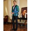 imageCOOFANDY Mens Tuxedo Jacket Slim Fit Shawl Lapel Blazer One Button Suit Jackets for Party Prom Wedding DinnerShiny Blue