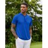 imageCOOFANDY Mens Quick Dry Golf Polo Shirts Short Sleeve Henley Shirt Active Athletic Collarless Sports T ShirtsSky Blue