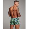image:imageCOOFANDY Mens Swim Trunk Quick Dry Swimwear Mesh Lining Bathing Suit Swimsuit Board Beach Sport ShortGreen Monstera