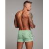 image:imageCOOFANDY Mens Swim Trunk Quick Dry Swimwear Mesh Lining Bathing Suit Swimsuit Board Beach Sport ShortLight Green Leaves