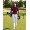 image:imageCOOFANDY Mens Polo Shirts Short Sleeve Golf Shirt Moisture Wicking Quick Dry Performance Polo Shirts for MenDark Red