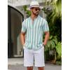 image:imageCOOFANDY Mens Knit Shirts Short Sleeve Button Down Polo Shirt Striped Casual Summer Beach ShirtsIce Green  White