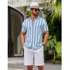 image:imageCOOFANDY Mens Knit Shirts Short Sleeve Button Down Polo Shirt Striped Casual Summer Beach ShirtsLight Blue  White
