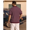 image:imageCOOFANDY Mens Knit Button Down Shirts Short Sleeve Polo Shirt Vintage Striped Casual ShirtsWine Red Beige