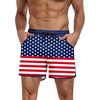 P American Flag 2