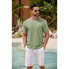 image:imageCOOFANDY Mens T Shirt Short Sleeve Classic Crew Neck TShirt Casual Summer Basic Tee ShirtsLight Green