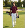 image:imageCOOFANDY Mens Golf Polo Shirts Short Sleeve Quick Dry Moisture Wicking Performance Collared Golf Shirt for MenDark Red