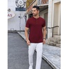 image:imageCOOFANDY Mens Henley Shirts Short Sleeve Casual Stylish Tshirt Lightweight Summer Basic Tee TopsWine Red
