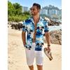 image:imageCOOFANDY Mens Button Down Short Sleeve Shirt Casual Beach Linen Shirts Wedding Summer Vacation ShirtBlue Sea