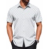 image:imageCOOFANDY Mens Wrinkle Free Dress Shirt Polka Dot Short Sleeve Button Down Business Casual ShirtsWhiteblue Plus Sign