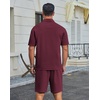 image:imageCOOFANDY Mens 2 Piece Outfits Casual Cotton Short Sleeve Polo Shirts and Shorts Sets Loose Fit Summer Athletic Track SuitsWine Red