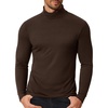 Chestnut Brown