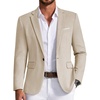 Light Khaki