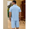 image:imageCOOFANDY Mens 2 Pieces Outfits Quarter Zip Polo Shirt and Shorts Set Casual Summer TracksuitLight Blue