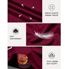 image:imageCOOFANDY Mens Long Sleeve Tee Shirts Stretch Crew Neck Tee Shirts Casual T Shirts for MenWine Red